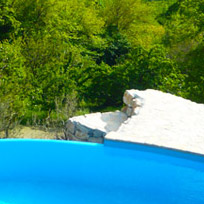 ...or silently observe young deer feeding just meters away