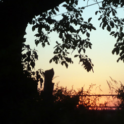 ...and Mediterranean sunsets that you will never forget.